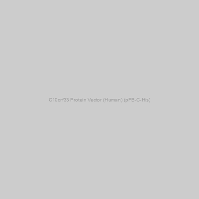 C10orf33 Protein Vector (Human) (pPB-C-His)